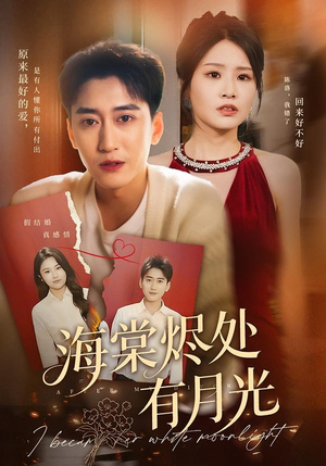海棠烬处有月光（70集）评价怎么样