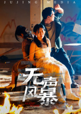 无声风暴（33集）热播短剧重燃