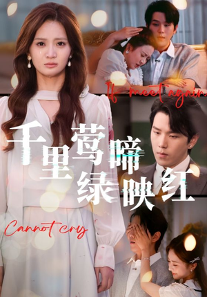 千里莺啼绿映红（63集）热门短剧在线看