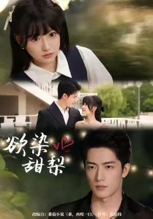 欲染甜梨（63集）精彩热门短剧