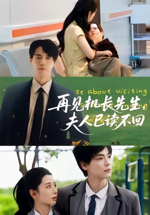 再见机长先生夫人已读不回（62集）精彩短剧热播