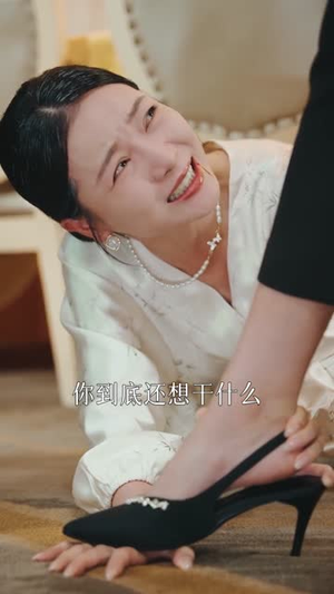 金屋藏凤(30集) 金屋藏凤(30集)免费短剧资源