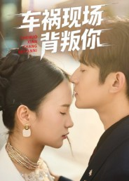 车祸现场背叛你(37集) 车祸现场背叛你(37集)免费版