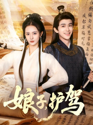 娘子护驾（73集）免费在线看全集
