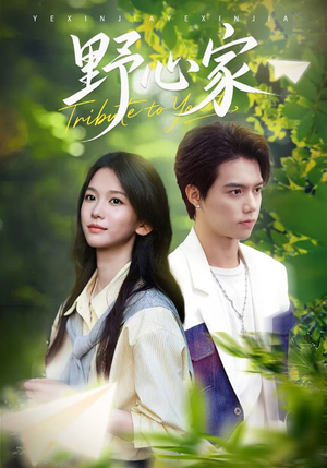 野心家（65集）推荐你们也去看