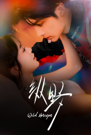 纵野（60集）评价怎么样