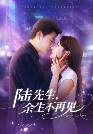陆先生，余生不再见（88集）太好看了短剧