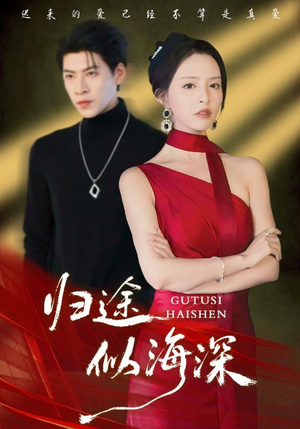 归途似海深（61集）经典老剧免费看