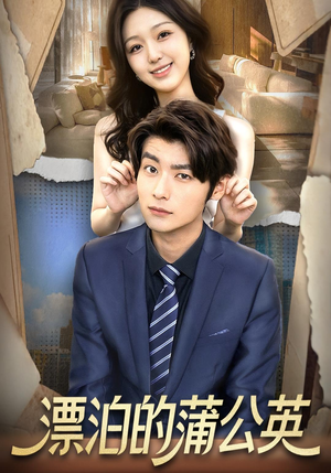 漂泊的蒲公英（60集）在哪里可以看