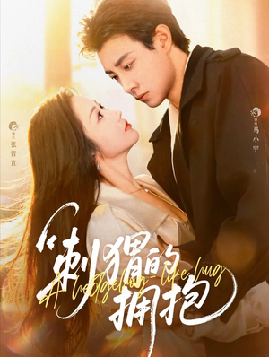 刺猬的拥抱（71集）短剧上热门