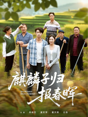 麒麟子归报春晖（36集）好看短剧追不停