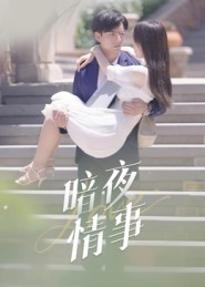 暗夜情事（100集）精彩短剧免费看