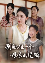 别触碰一个母亲的逆鳞（33集）在哪看