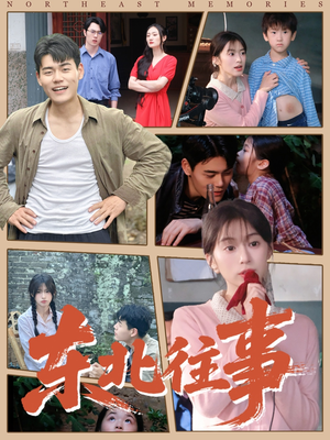 东北往事（60集 ）免费短剧看不停