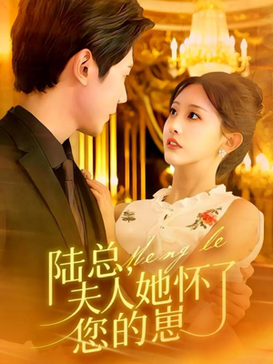 陆总，夫人她怀了您的崽（89集）好看又上头短剧