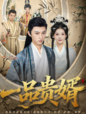 一品贵婿（80集）短剧太精彩