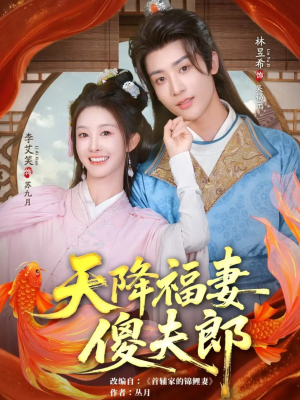 天降福妻傻夫郎（85集）最后一集