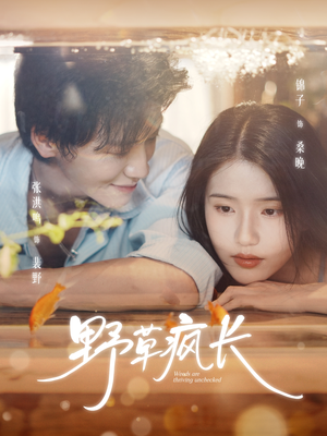 野草疯长（71集）短剧分享片段