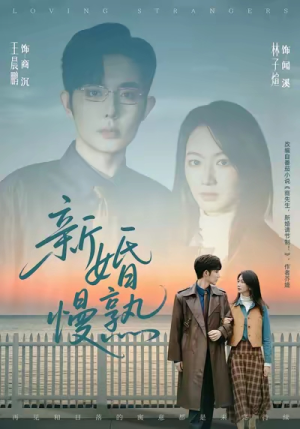 新婚慢熟（105集）全集下载