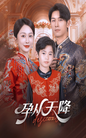 孕从天降（70集）精彩连连免费看