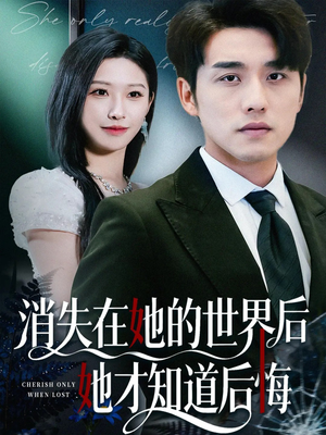 消失在她的世界后她才知道后悔（61集）在线观看全集