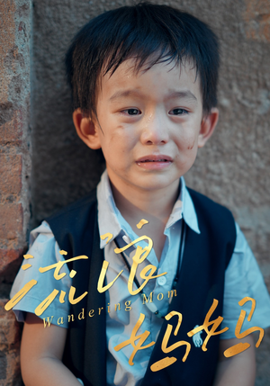 流浪妈妈（30集）免费热门短剧