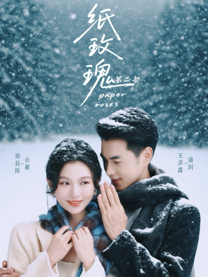 纸玫瑰第二部（80集）热门火爆短剧