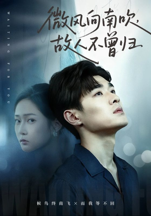 微风向南吹，故人不曾归（72集）百度网盘资源