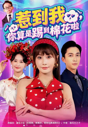 惹到我，你算是踢到棉花啦（67集）不用花钱看全剧