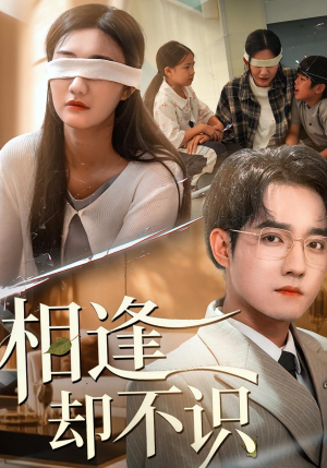 相逢却不识(77集) 相逢却不识(77集)哪个短剧网能看