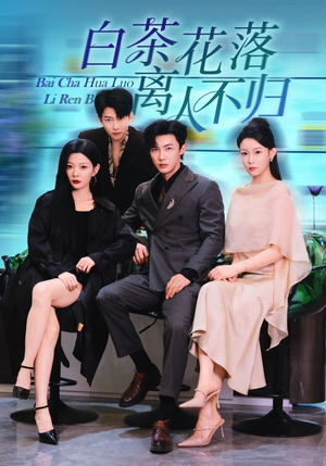 白茶花落离人（51集）超好看的短剧