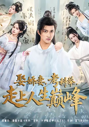 娶娇妻，考科举，走上人生巅峰（80集）更新时间