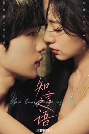 知言之语（59集）精彩的网络短剧