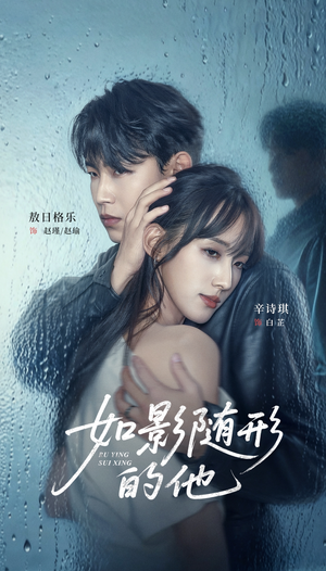 如影随形的他（30集）最火的短剧