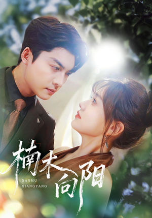 楠木向阳（70集）一口气看完