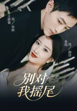 别对我摇尾（59集）悬疑短剧推荐