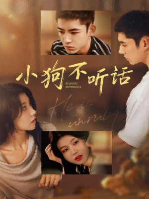 小狗不听话（70集）女主谁演的