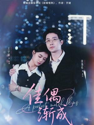 佳偶渐成（71集）全集