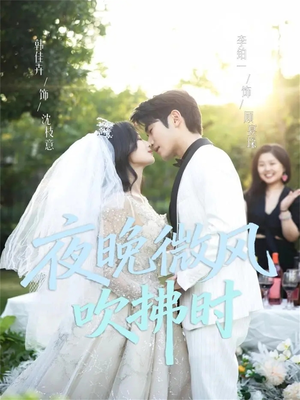 夜晚微风吹拂时（61集）精彩短剧来了