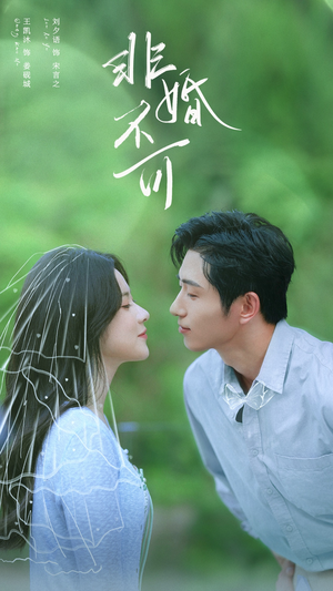 非婚不可（65集）零花钱看整部剧