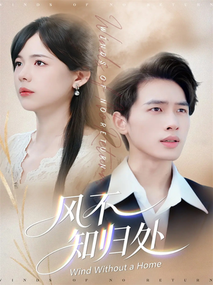 风不知归处（78集）短剧精彩推荐