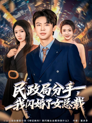 民政局分手，我闪婚了女总裁（72集）经典老剧免费看