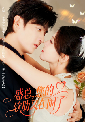 盛总，您的软肋又在闹了（80集）去哪里看