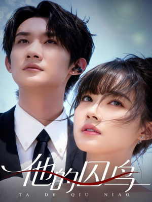 他的囚鸟(60集) 他的囚鸟(60集)在哪看免费