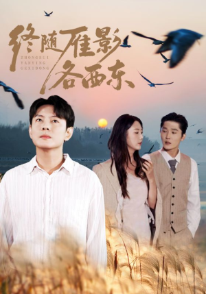 终随雁影各西东（86集）每日短剧分享