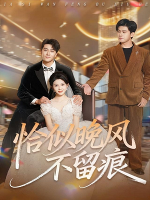 恰似晚风不留痕（61集）好看又上头短剧