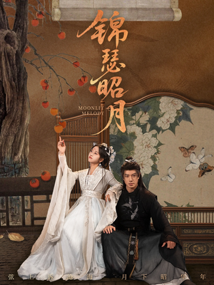 锦瑟昭月（68集）精彩短剧追不停