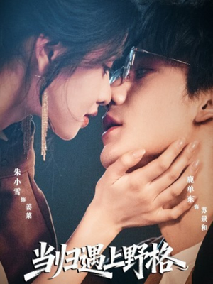 当归遇上野格（66集）短剧中追到爽