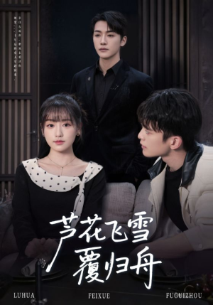 芦花飞雪覆归舟（77集）短剧太好看了吧