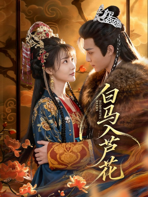 白马入芦花（59集）超火短剧抢先看